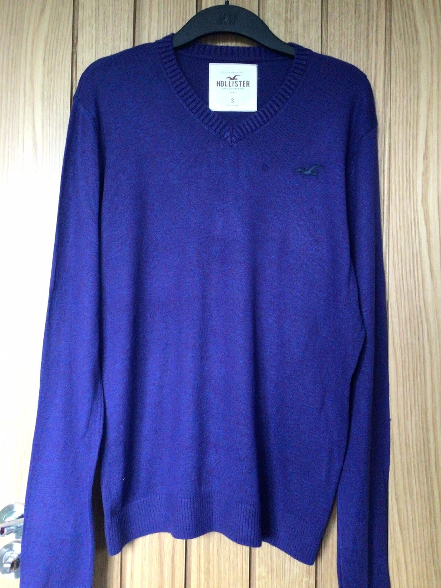 Hollister clearance navy jumper
