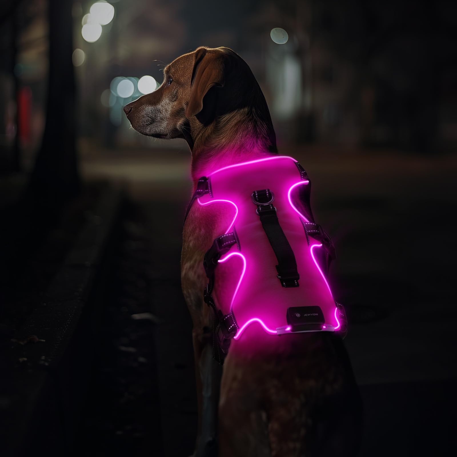 Harnais réfléchissant pour chiens avec bandes LED rechargeables USB