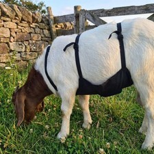 Wear Resistant Livestock Anti Breeding Apron Livestock Clothing  Farm Animal