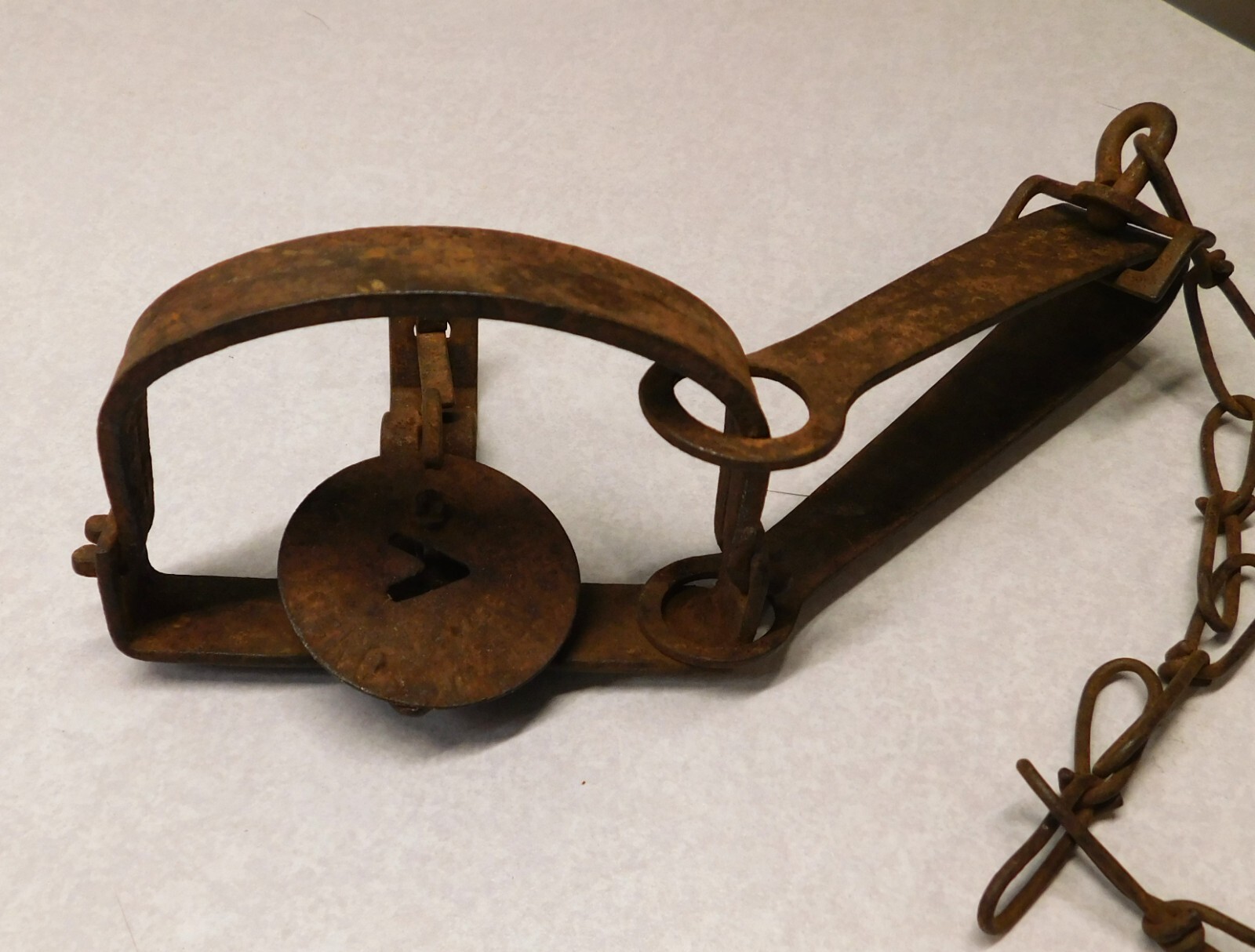 Victor 1 Longspring Traps (8) Muskrat trap, Mink Victor Oneida eBay