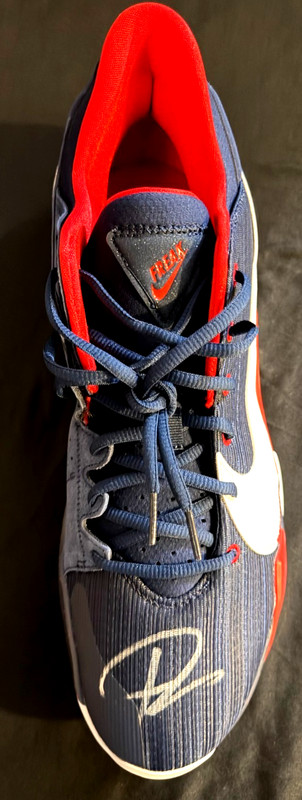 Giannis Antetokounmpo Signed Player Edition Nike Basketball Shoe (Beckett)