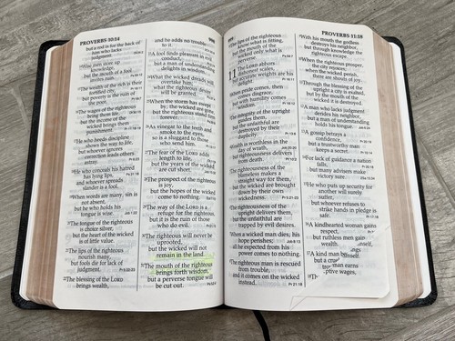 ✝️ NIV Reference Bible Bonded Leather 1984 1986 Large Print - Imagen 3 de 13