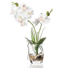 1 Pcs Glass Vase Artificial Orchid Flower Bonsai Vivid Phalaenopsis Flowers Pott