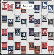 Minnesota Twins Collecting and Fan Guide 6