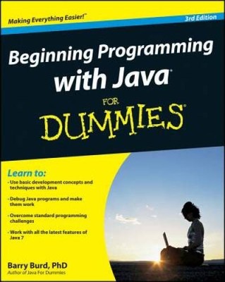 Beginning Programming with Java For Dummies - Paperback - VERY GOOD