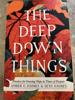 The Deep Down Things: Practices for Growing Hope in Times of Despair By A Haines