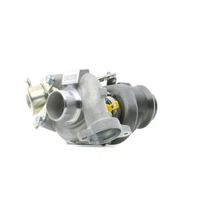 Turbolader RIDEX 2234C0143 für FORD Fiesta Mk6 Schrägheck (JA8, JR8) FUSION (JU)