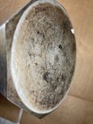 Foto 16 di 24
