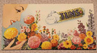 Vintage TUMS Natures Remedy SEALED Seed Packet Mailer Willcox Drug Kirksville MO — photo 1