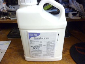 wdg pounds fungicide quali al shipping pro