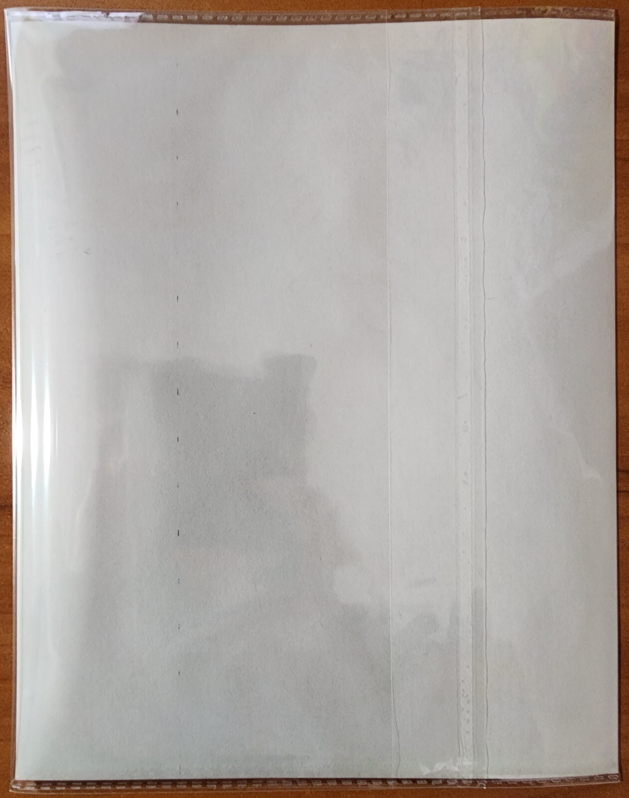 Bernard Kobel Traditional Tattoo Photo Vintage Tattooed Woman Lady Viola 8X10