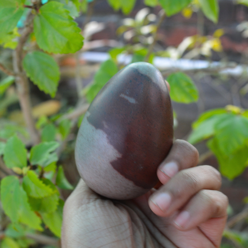 Wonderful Pattern Egg Shape Narmadeshwar Natural Narmada River Egg Stone-1153 - Picture 4 of 6