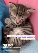 TINY CUB WAS UNDER FLOORBOARDS IN A BAD WAY BUT RSPCA SW LONDON PUT THINGS RIGHT