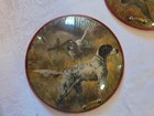 Vintage Pair of bubble pictures Animals Souvenir of Long Beach California RARE — photo 4