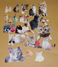 20 Pieces Cat Scrapbook Embellishments   DIY Card Making Scrapbooking