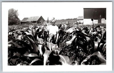 #ad Vtg Bamp;W Snapshot Young Boy Holding Tool Standing In Cornfield Farm Barn 1950s $7.99
