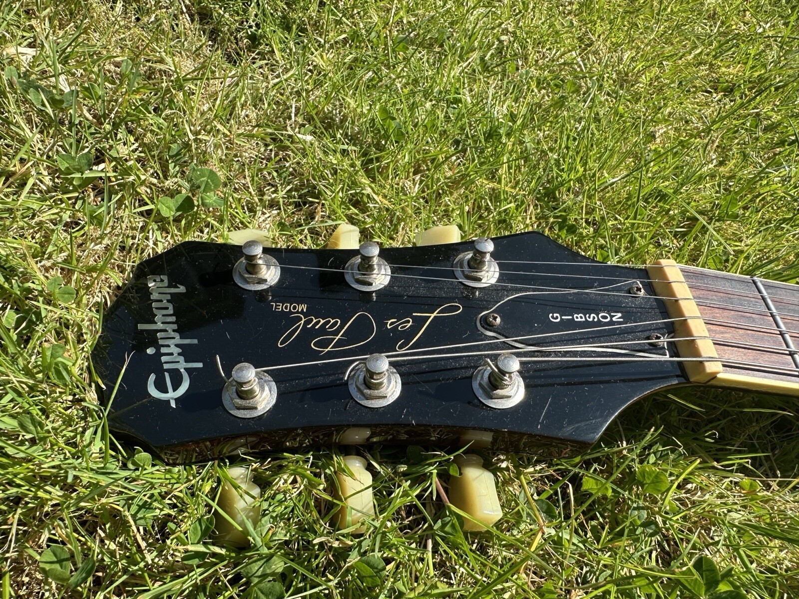 Picture 5 of 15