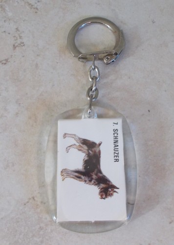 Antique Keyring key chain France CANIGOU RON-RON white plastic vintage - Picture 2 of 2