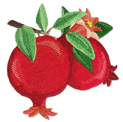 Beyond Vision Custm Fruit Pomegranate Fruit Accent Embroidered Iron on/Sew Patch
