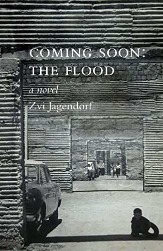 Coming Soon: The Flood Zvi Jagendorf - Image 2