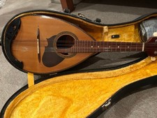 SUZUKI wooden striped mandolin body, case