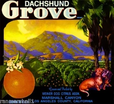 Marshall Canyon Dachshund Grove Dog Orange Citrus Fruit Crate Label Art Print