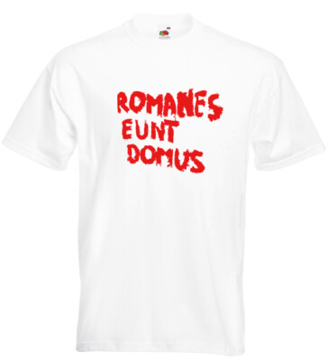 Monty Python Inspired Romanes Eunt Domus T Shirt  Romans Go Home