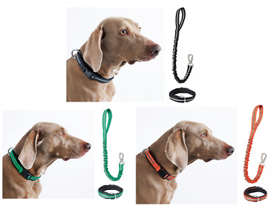 Neu Elastic Anti-Shock Reflective Leash and Collar für Hunde bis Zu 32kg/