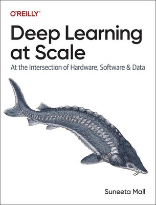 Deep Learning at Scale: At the Intersection of Hardware, Software, and Data by S