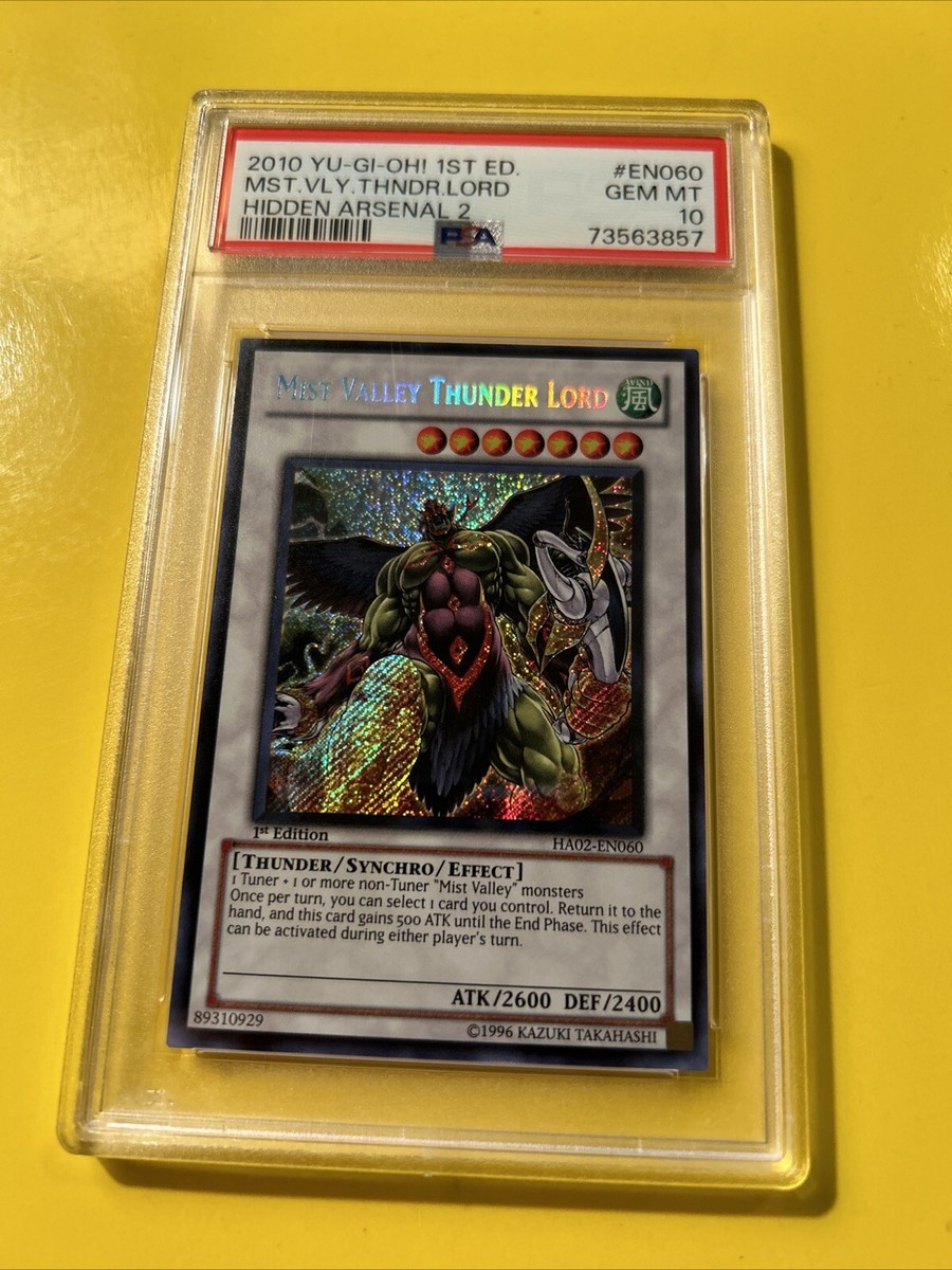 YuGiOh MIST VALLEY THUNDER LORD #HA02-EN060🔥PSA 10 GEM🔥1st ED