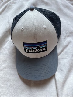 Patagonia Trucker Hat