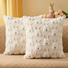 Easter Pillow Covers 20x20 inch Set of 2 Soft Plush Cushion Easter Decorations T