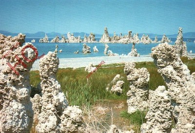 Ansichtskarte -: Mono Lake Tufa State Reserve