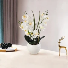 ENOVA FLORAL Orchid Artificial Flowers with Vase, Real Touch Potted Orchids F...