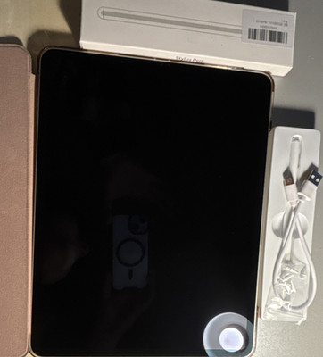 Apple iPad Pro 2021 12,9 Zoll 256 GB Silber Wi-Fi mit Fake Apple Pencil