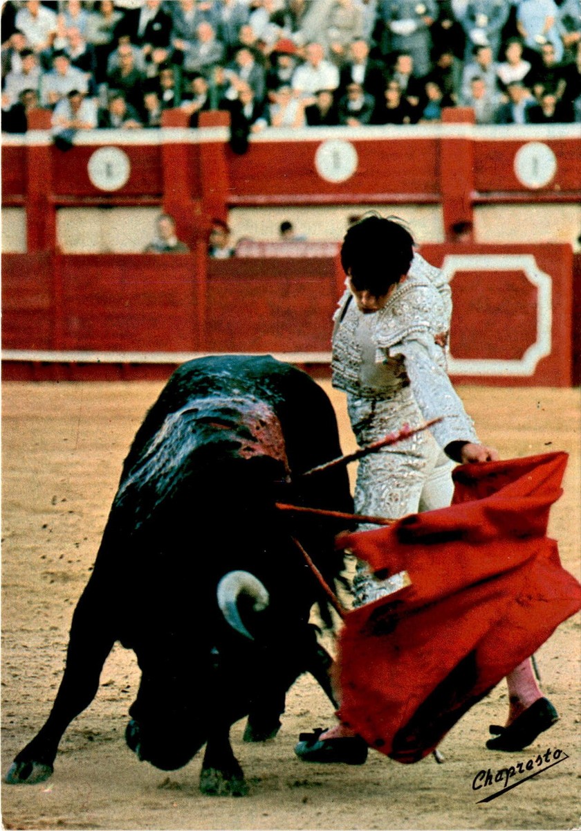 Picture of Palomo Linares