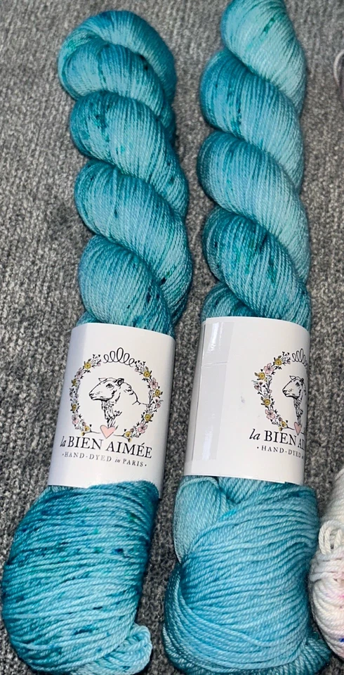 Hilo teñido a mano La Bien Aimee "Vespa Graffiti" 2 madejas Merino Super Sock Foto 3 de 4