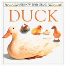 Duck Paperback Mary Ling