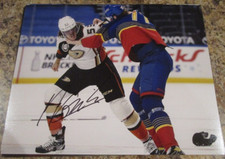 MAXIME COMTOIS SIGNED 8X10 MATTE PHOTO ANAHEIM DUCKS (G) MAX COMTOIS