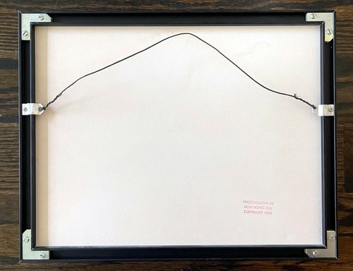 Framed photograph by Don Hong Oai - Picture 3 of 9