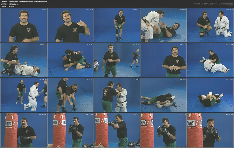The Predator NHB/MMA Fighting System starring Don Frye (15 DVD Set) - Image 2 of 4