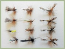 Sedge & Humpy Trout Flies, 12 Pack Mixed Early Season Fishing flies, Size 10