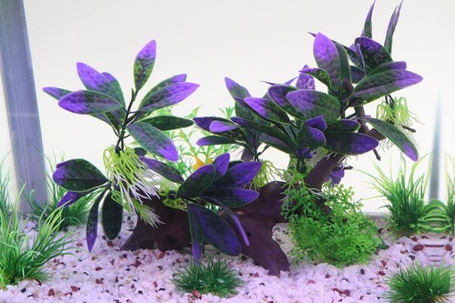AQUA KT Acquario Paesaggio Simulazione Pianta Artificiale Viola, Pianta in Plastica per - Foto 2 di 9