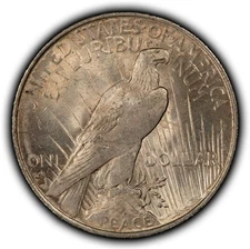 1922 $1 Peace Dollar - Mint Error Massive Struck Through Grease - VIDEO -  Z6320