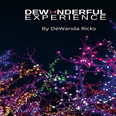 The DeWonderful Experience DeWanda Ricks Paperback Lulu Press Inc