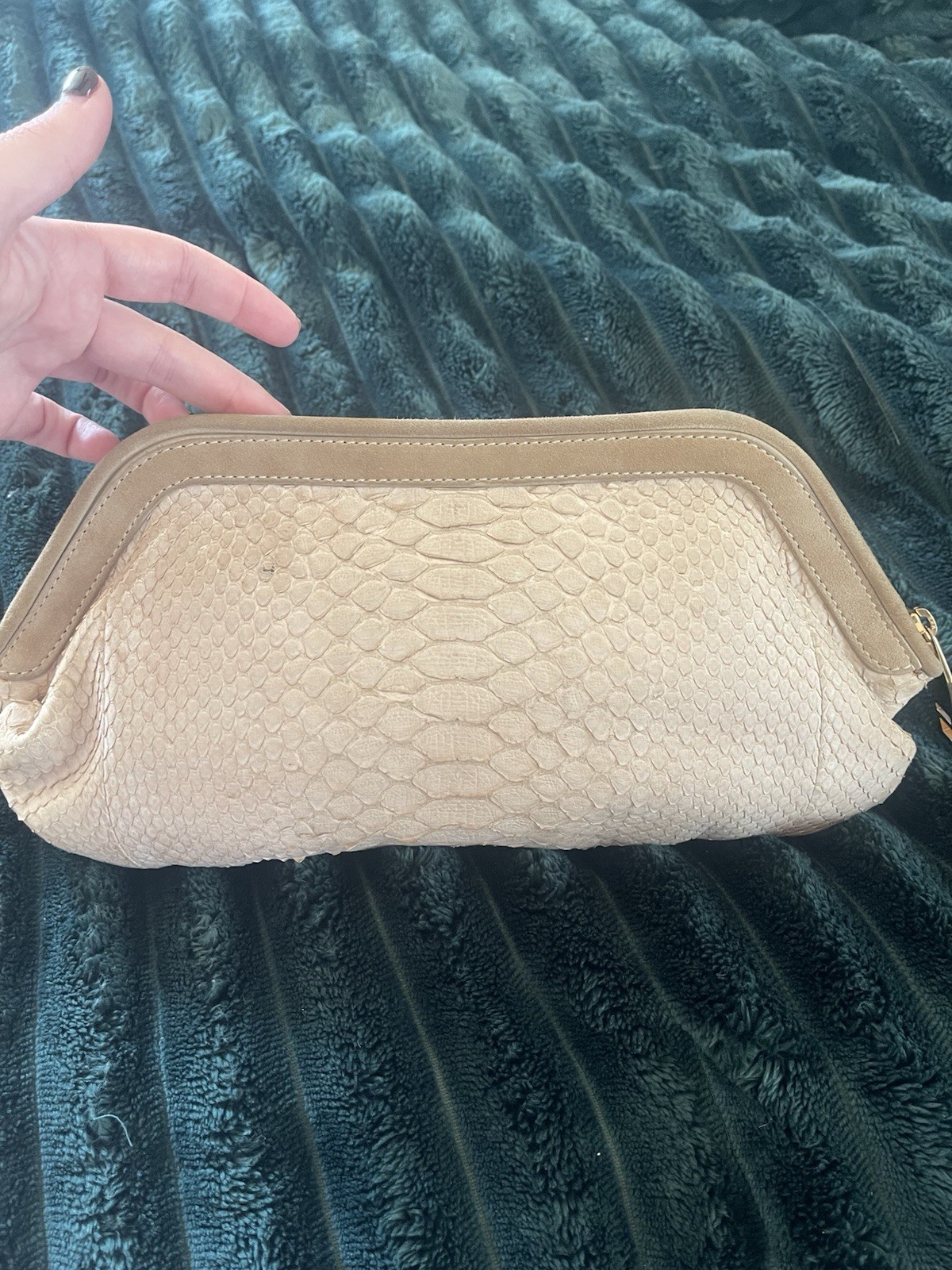 Authentic python snakeskin beige clutch, gold har… - image 3