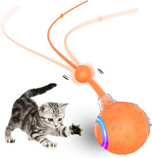 Interactive Cat Toys Ball for Indoor Cats Fast Rolling on Carpet, Chirping  Mot