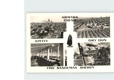 Jerez de la Frontera Armada Cream Apiriv dry don fine sandeman sherry