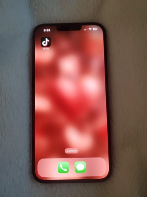 TikTok installed Apple iPhone 13 Pro Max - 512GB - Silver (Unlocked)