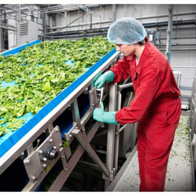 Guante Ansell Solvex De Nitrilo Verde De 18 In T8